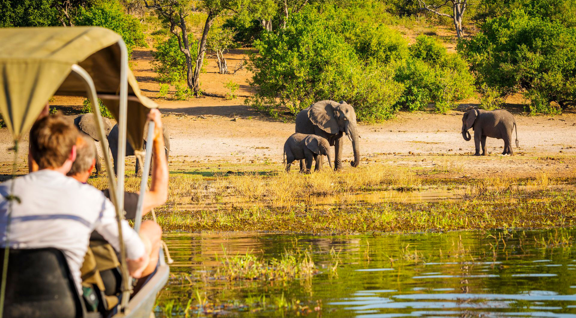 Parco Tarangire