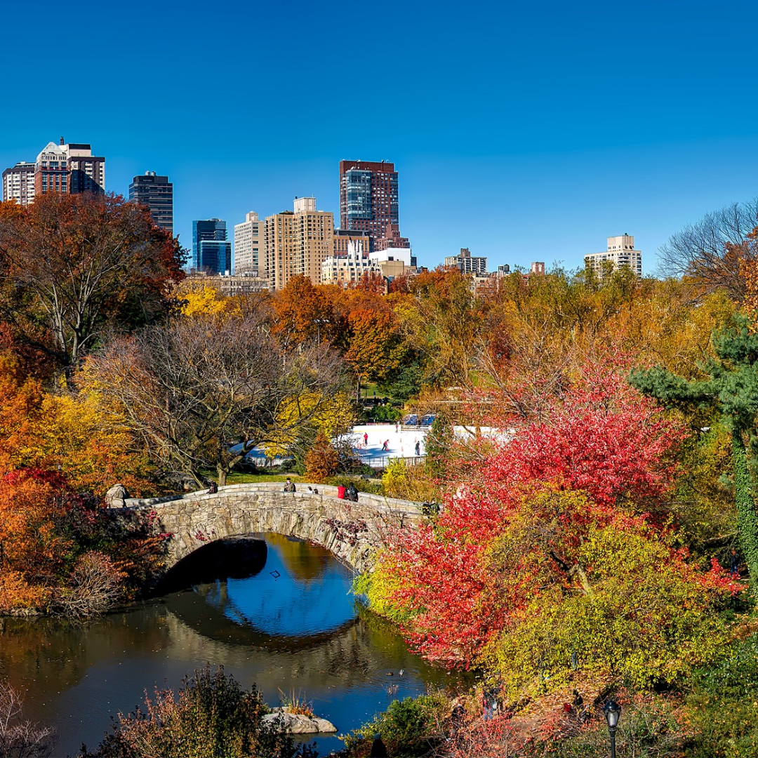 Ny Central Park
