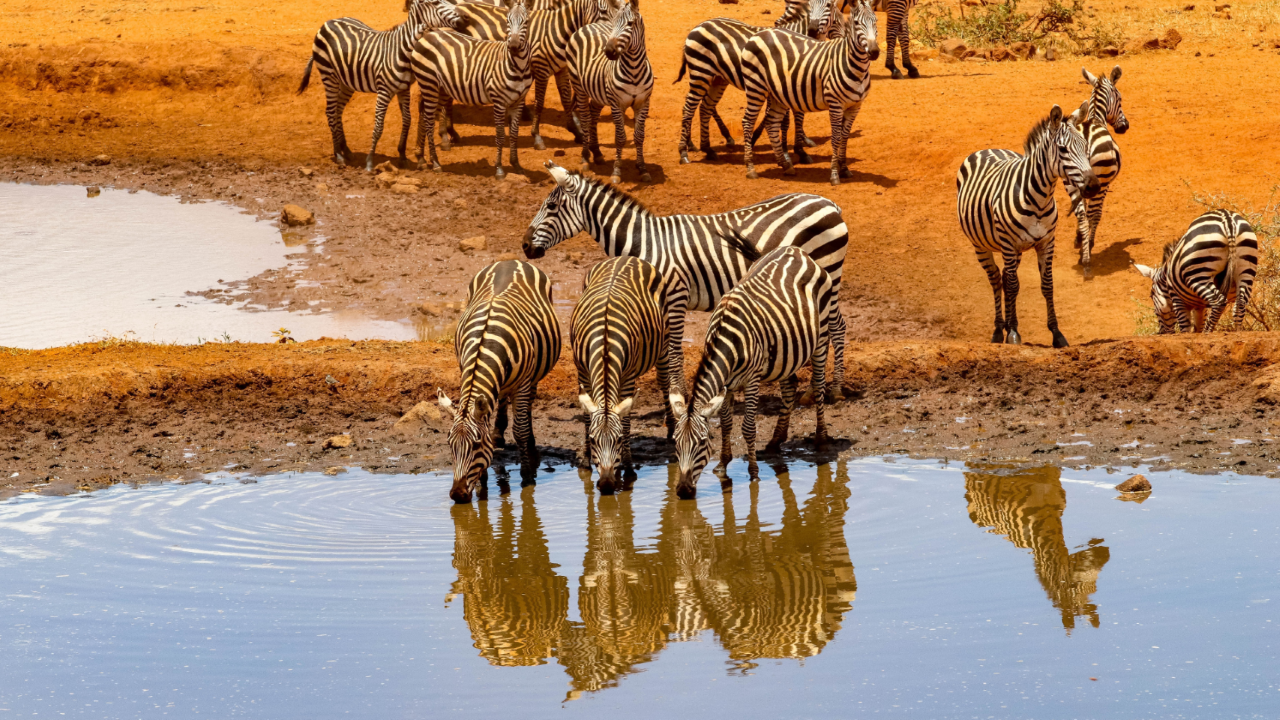 Itinerario Kenya 11 giorni 10 notti