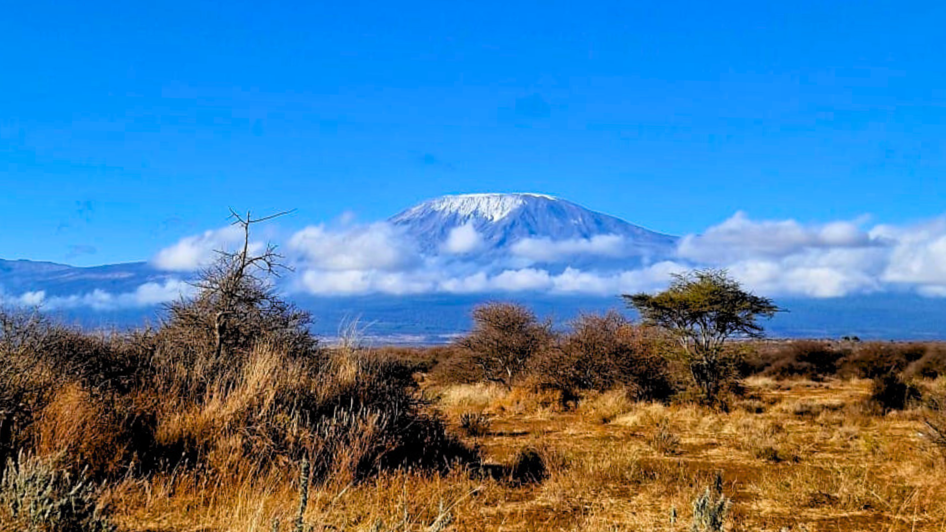 Itinerario Kenya Amboseli