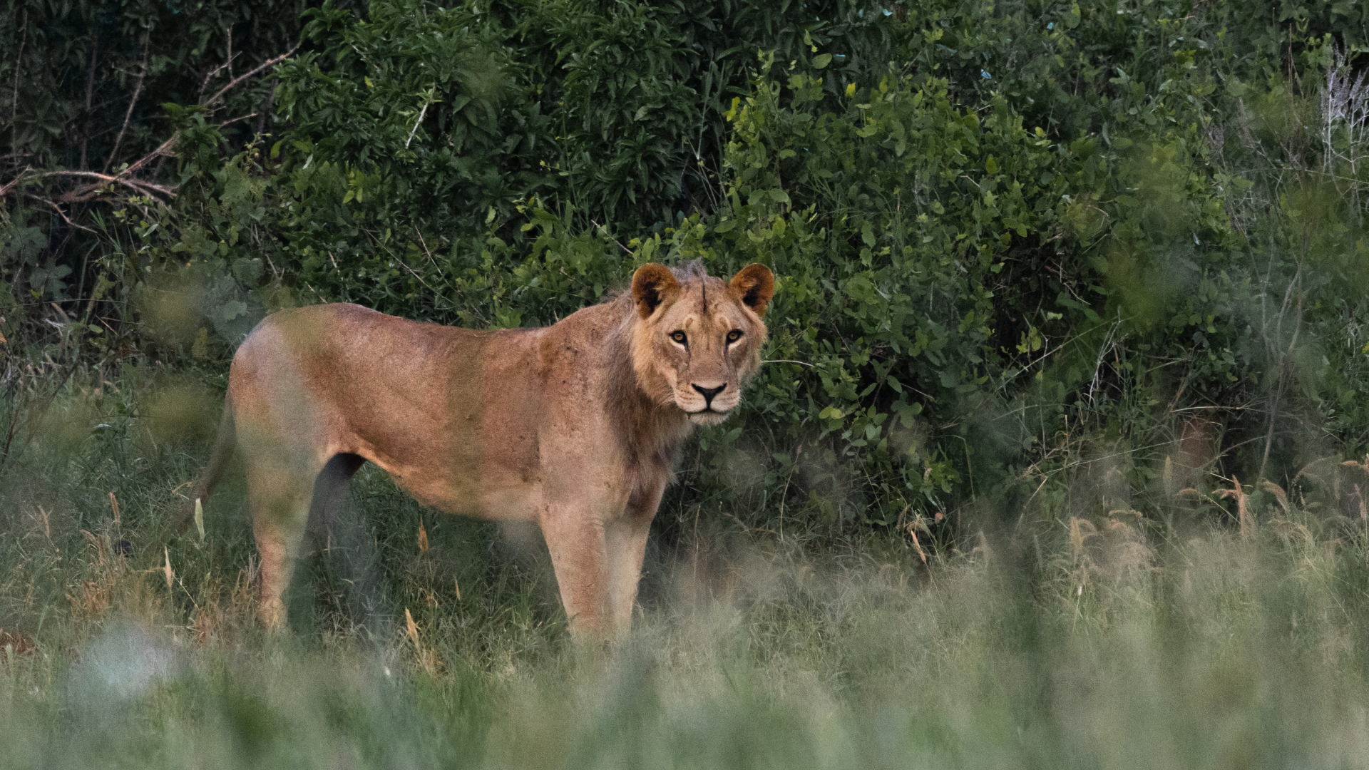 Itinerario Kenya
