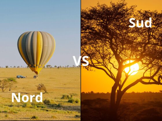 Tanzania: Parchi del nord o parchi del sud